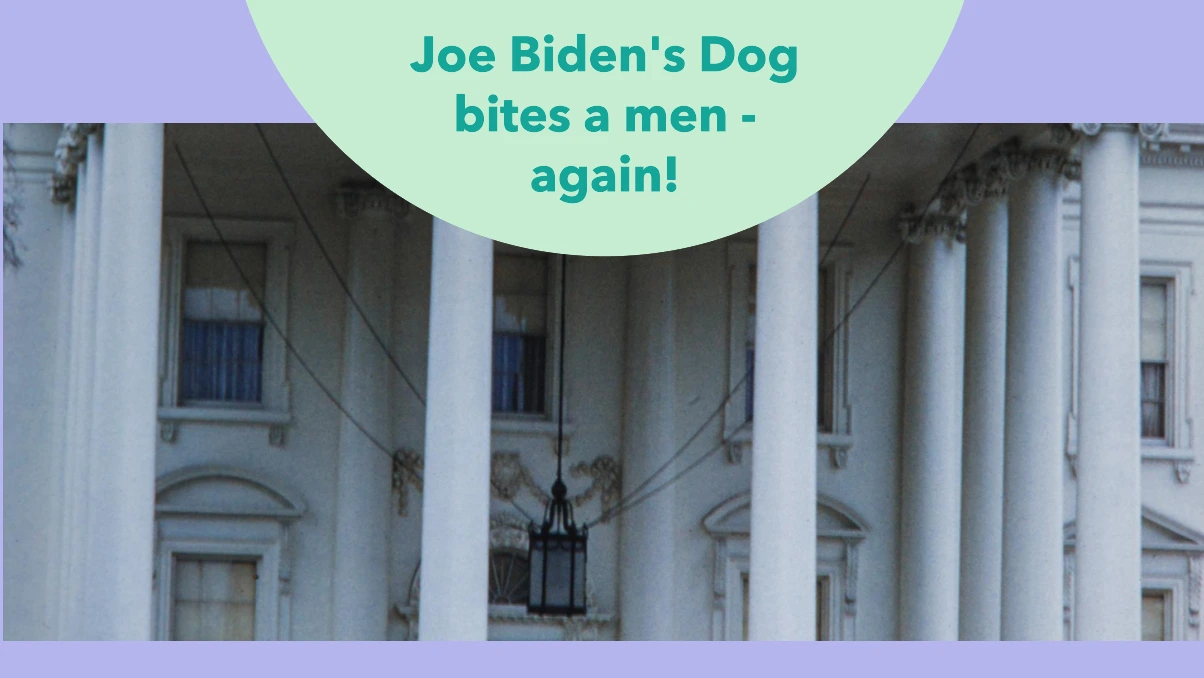 Understanding the Controversy Joe Biden’s Dog, Commander