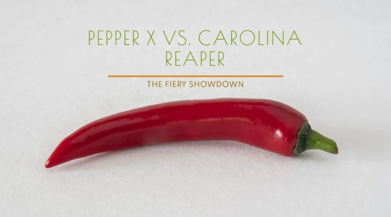 The Fiery Showdown Pepper X vs. Carolina Reaper